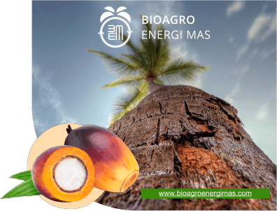 biagro energi mas - gambar produk hm biagro energi mas - gambar produk hm