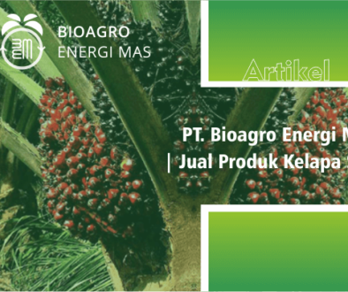 biagro energi mas - jual produk kelapa sawit