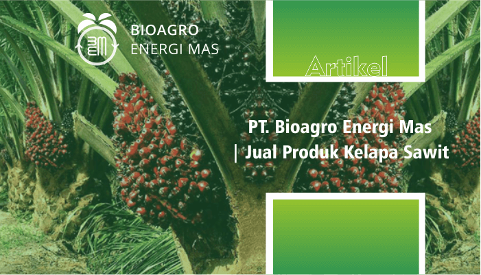 biagro energi mas - jual produk kelapa sawit