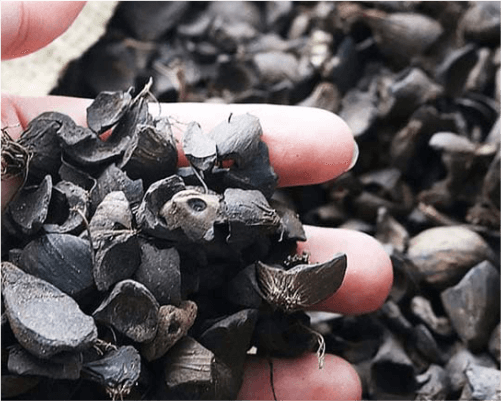 Kami Menyediakan dan memasok Palm Shell Charcoal, terbuat dari Cangkang Sawit. Cocok untuk kebutuhan bahan bakar pemanas, barbeque, dll.