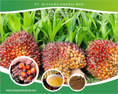 biagro energi mas - profil biagro energi mas - profil
