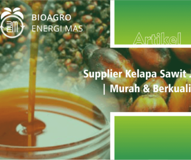 biagro energi mas - supplier kelapa sawit