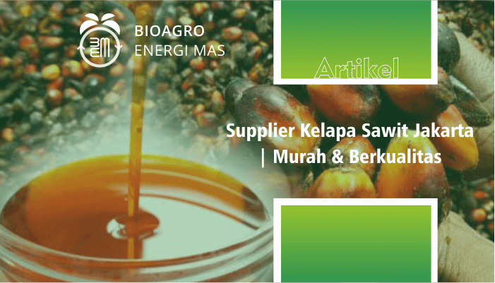 biagro energi mas - supplier kelapa sawit